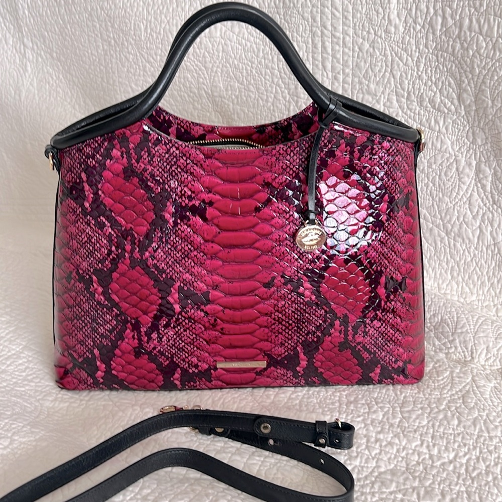 Brahmin Elaine Potion Ziggy